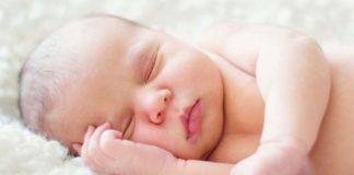 O que deve saber sobre a fisiologia digestiva do latente