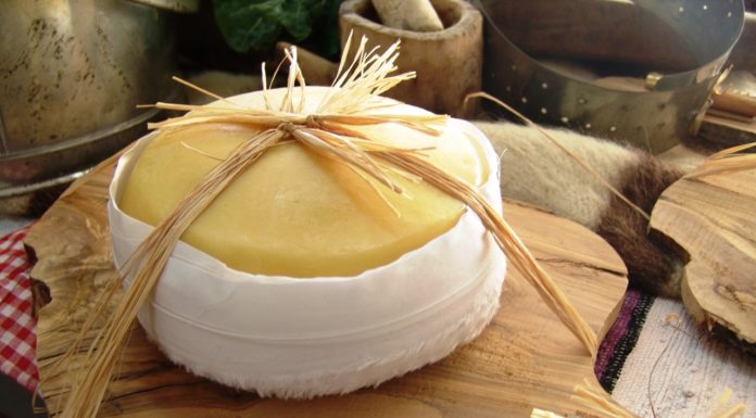 Queijo da Serra com leite em pó Queijo da serra