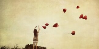 Novo milénio, vida nova