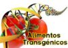 Alimentos transgénicos: bons, maus ou assim-assim? Alimentos transgénicos