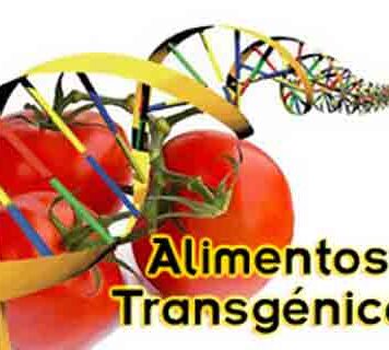 Alimentos transgénicos