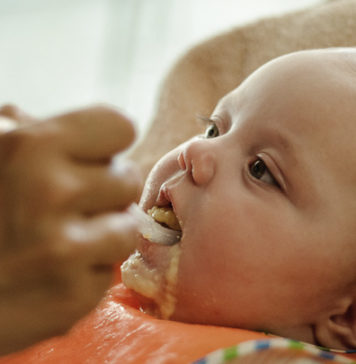 As primeiras papas para o seu bebé