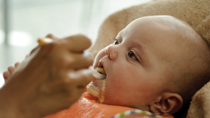 As primeiras papas para o seu bebé