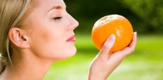 Os cinco sentidos do corpo humano