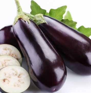 Beringela – excelente fruto na cozinha e na saúde Beringela