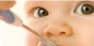 Refeições de peixe para bebé