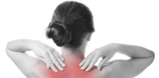 O aparecimento dos bicos de papagaio