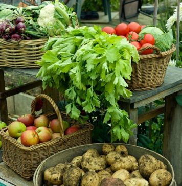 Origem dos alimentos