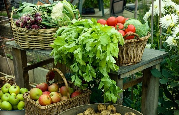 Origem dos alimentos