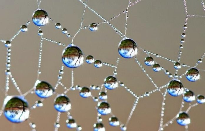 Essências Vibracionais e os Planetas