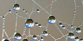 Essências Vibracionais e os Planetas