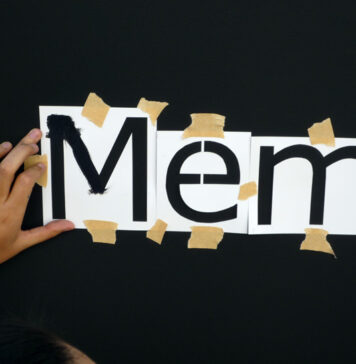 Sabia escolher os alimentos para ter uma memória de elefante! Memória de elefante