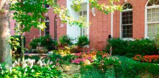 Conheça a orientação solar apropriada para cada planta