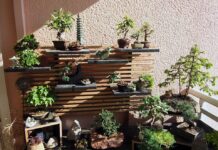 Como fazer um jardim bonsai