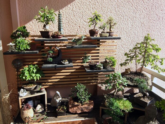 Como fazer um jardim bonsai