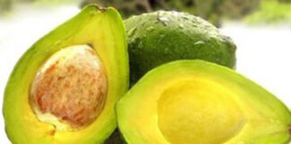 Como conservar o abacate