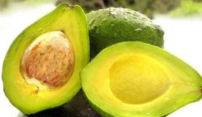 Como conservar o abacate Como conservar o abacate