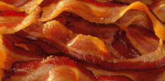 Bacon