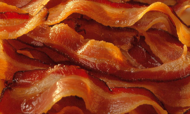 Bacon