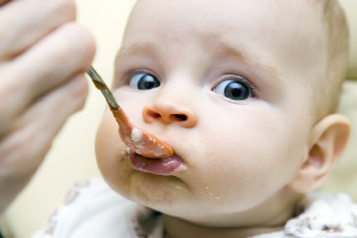 Menu para bebés a partir dos 9 meses