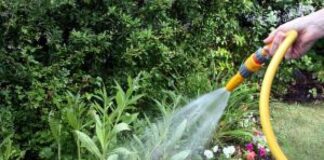 Regas ecológicas para regar o jardim