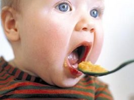 Menu para bebés com mais de 6 meses