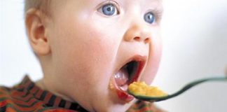 Menu para bebés com mais de 6 meses