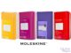 Agendas Moleskine - Aliada de qualquer Mulher