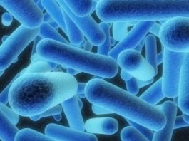 Conheça a Legionella