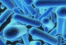 Conheça a Legionella