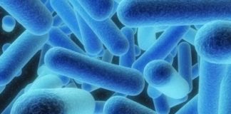 Conheça a Legionella