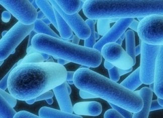 Conheça a Legionella