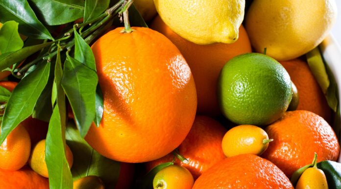 Frutas para a prevenção da gripe