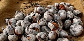 A tradição do Magusto no verão de São Martinho