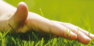 Relvado, saiba como mantê-lo verdejante e saudável