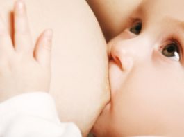 Aleitamento materno - amamentação