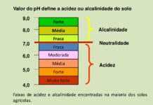 Solo ácido e solo alcalino, saiba como alterar o Ph