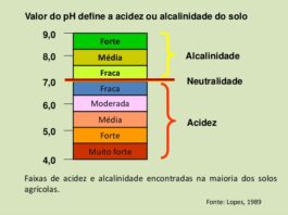 Solo ácido e solo alcalino, saiba como alterar o Ph