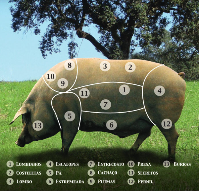 Divisão do porco alentejano
