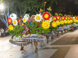 Marchas populares 2015