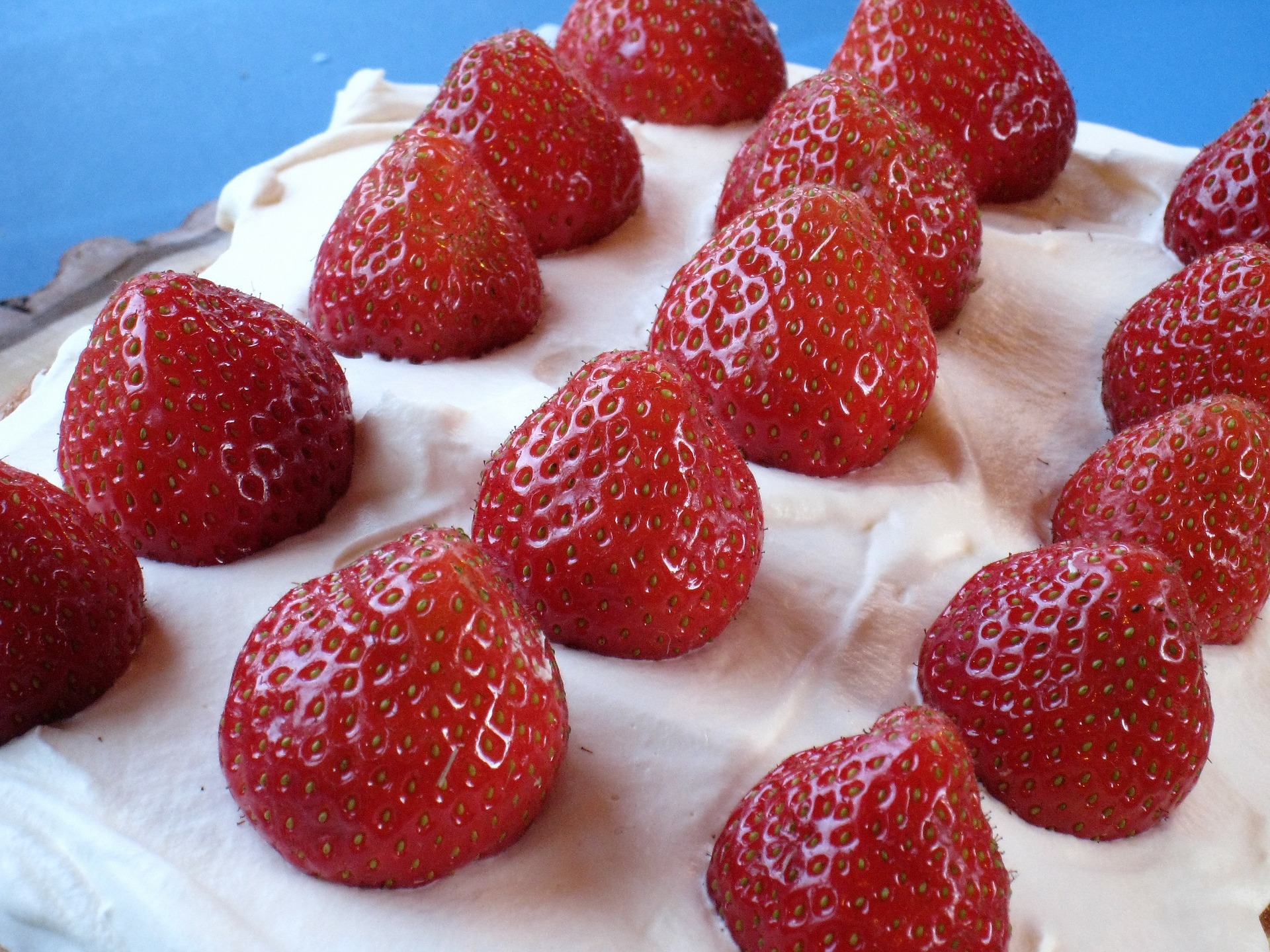 bolo de morangos com chantilly