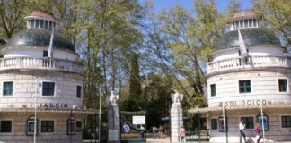 118 anos de Jardim Zoológico
