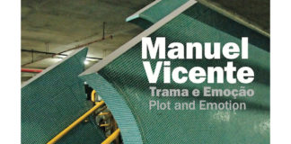 Manuel Vicente - Trama e emoção
