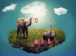 Significado dos sonhos