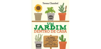 Um jardim dentro de casa