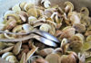 Saiba como cozinhar os frutos do mar
