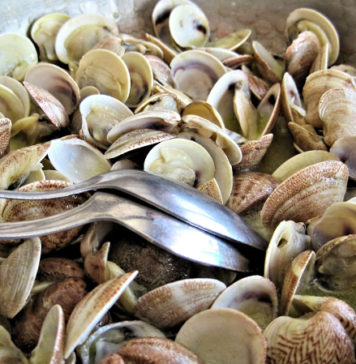 Saiba como cozinhar os frutos do mar