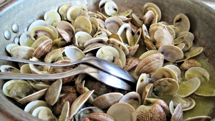 Saiba como cozinhar os frutos do mar