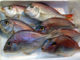 peixe mais saudável e delicioso