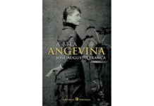 A Bela Angevina